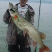 48 inch Musky - Yellow Lake - Yellow Lake Fishing Guides