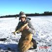 sudden impact ice fishing guide