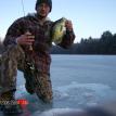 ice fishing guide service sudden impact guide service