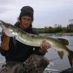 37 inch Musky - Chippewa River - Chippewa River Fishing